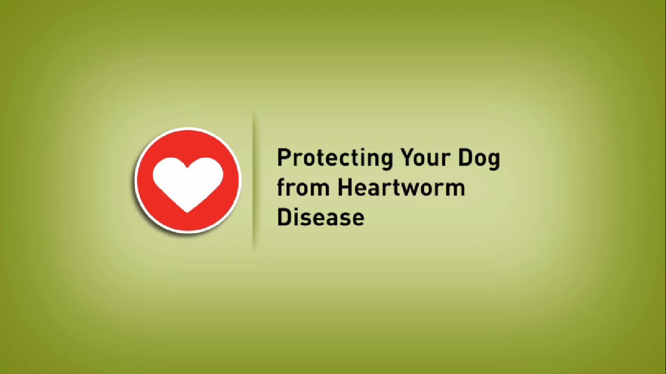 Heartworm trifexis hot sale dogs